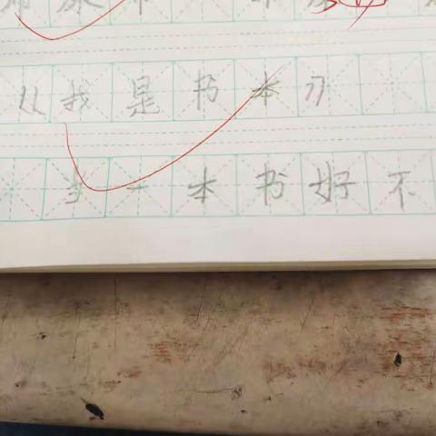 《我是一只小虫子》仿写优秀习作