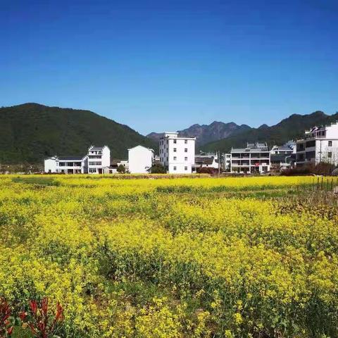 大小姑源的“精神”