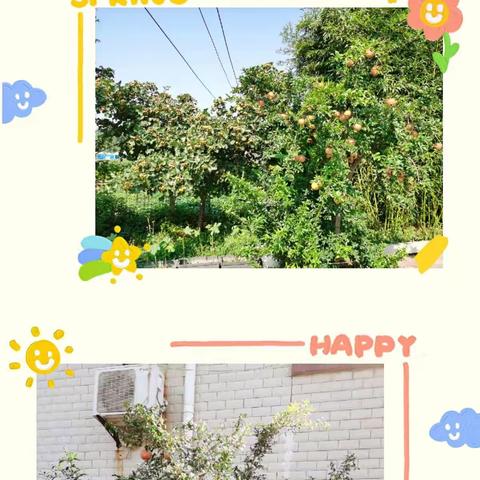 感悟秋天，了解大自然——小庄博艺幼儿园大班级部社会实践活动