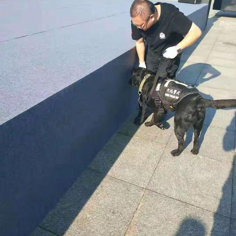 警犬技术大队圆满完成2019唐山南湖重机车文化节发车仪式安检任务