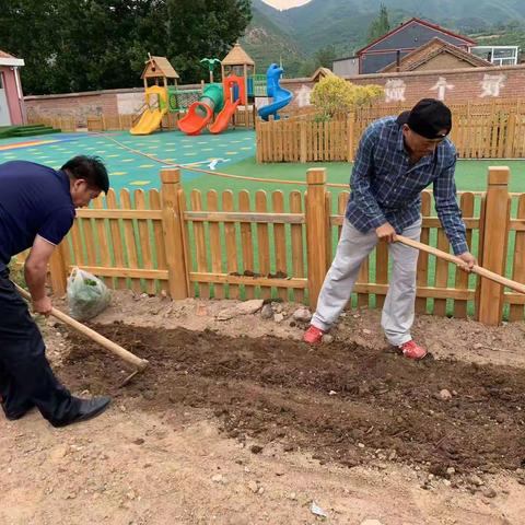 白虎沟中心小学全体师生劳动教育纪实。