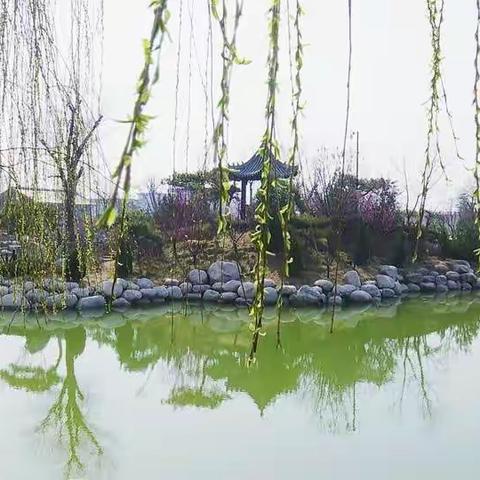 同步课堂新认知，在线双师促发展