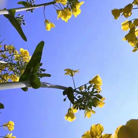 相遇美好，共研双师