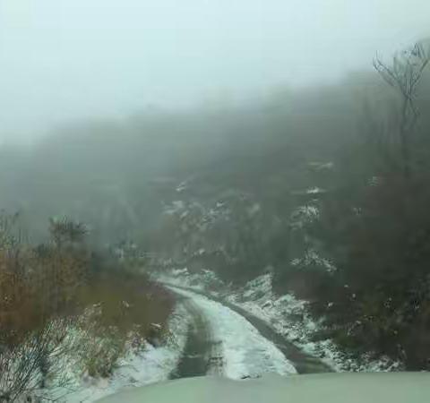 没人打扰的秋雪