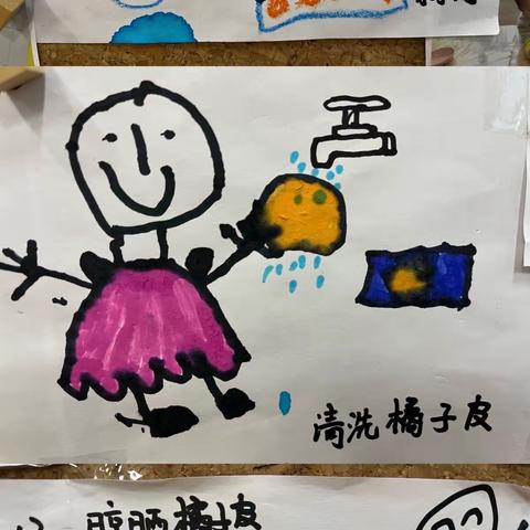 陈皮趣事——光泽县实验幼儿园城南校区中（4）班班本课程