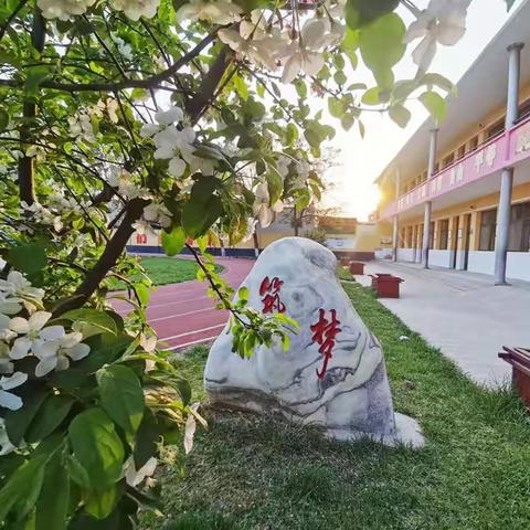 学习数学新课标，探索育人新课堂——望亭镇东安小学教师暑期数学课标培训学习