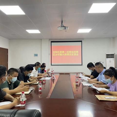 吉阳区委第一巡察组巡察区乡村振兴局情况反馈会