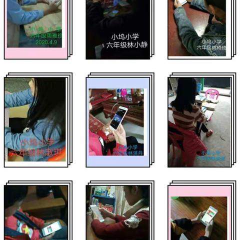 内湖镇小坞小学——停课不停学，静待开学日。