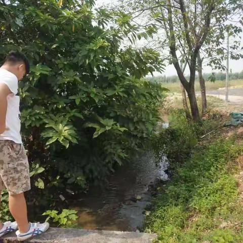 太和乡村振兴办工作简报（2019.10.12）