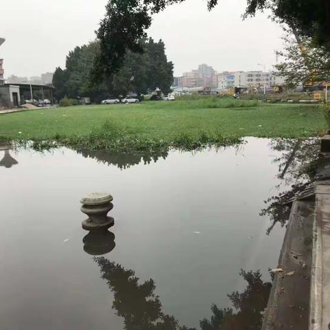 太和乡村振兴办工作简报（2019.10.9）