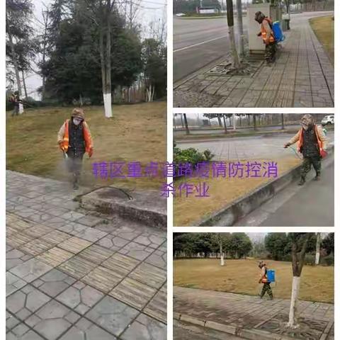 为保障辖区卫生安全，认真做好每日消杀工作