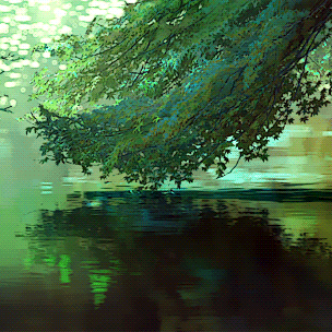 宝丰县农业农村局工作周报（11.30-12.6）