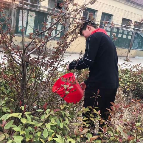 伯乐集镇马楼小学植树节活动