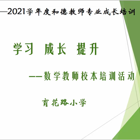 学习  成长  提升——育花路小学数学教师校本培训活动