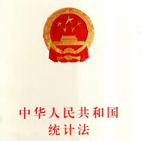 解读《中华人民共和国统计法》