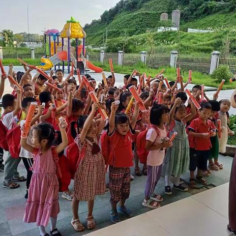 龙园幼儿园大班兴趣班🌸