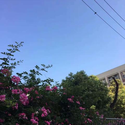 聚焦中考命题，研讨教学改进