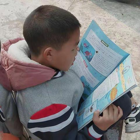 读书，是你最美的姿态