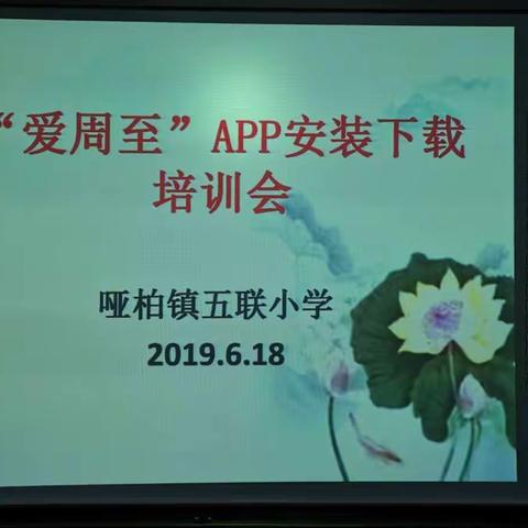 软件虽小，服务无限——哑柏镇五联小学“爱周至”APP安装下载培训会纪实