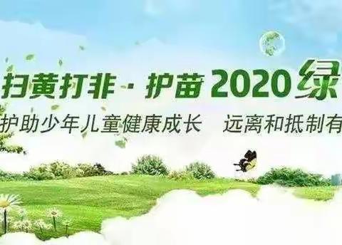 采桑镇南景色立邦希望学校“2020护苗行动”进行时