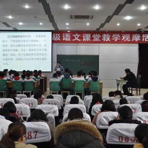 用好统编语文教材，提高课堂教学质量——沛县小学低年级语文课堂教学观摩活动