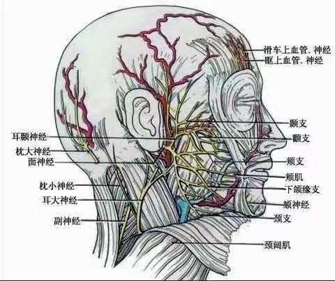 你了解你的表情吗？——岳阳市一人民医院东院神外二区带你认识面肌痉挛