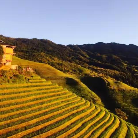 暖暖的旅行