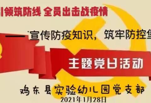 党建引领筑防线 全员出击战疫情——实验幼儿园党支部“宣传防疫知识，筑牢防控堡垒”主题党日活动