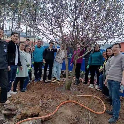 植一株小树，绿一方净土