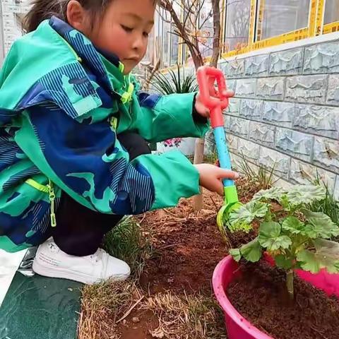 传播绿色文明  传递绿色能量  共建绿色家园——威宁自治县第五小学第41个植树节活动纪实