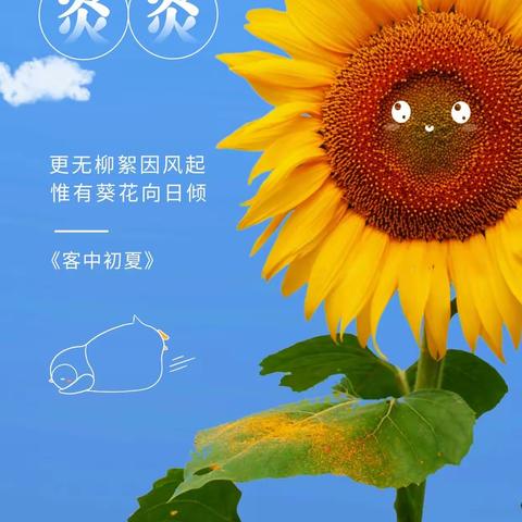 【桓台农商银行周家支行】炎炎夏日，不负好时光