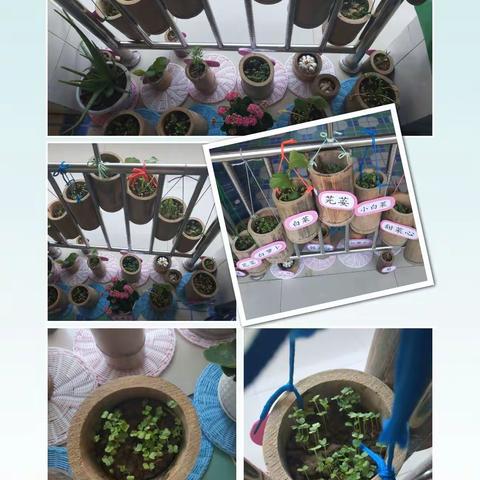 梅城镇中心幼儿园——开心小一班