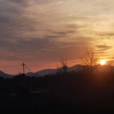 舞钢市新时代国际学校六（1）班第三周简报