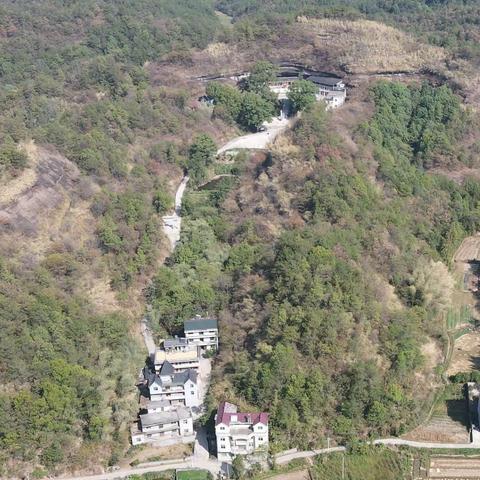 仙岩寺文化