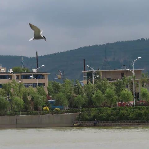 仲夏午后散步随拍