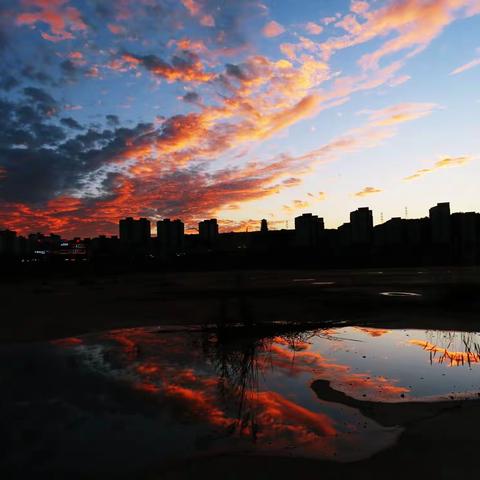 初秋郊游 随拍散记