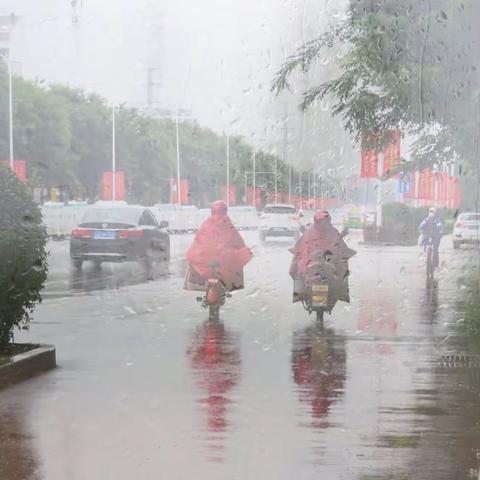 雨中印象
