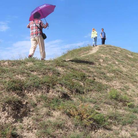 登上长城望萧关