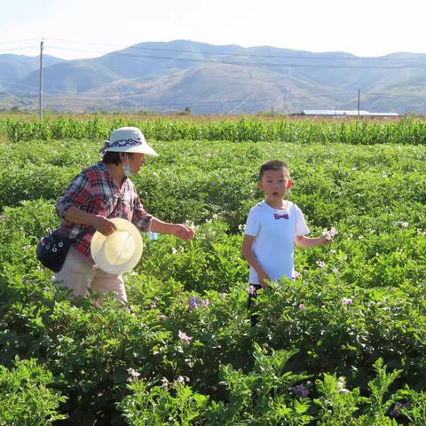 悠游乡间 随拍散记