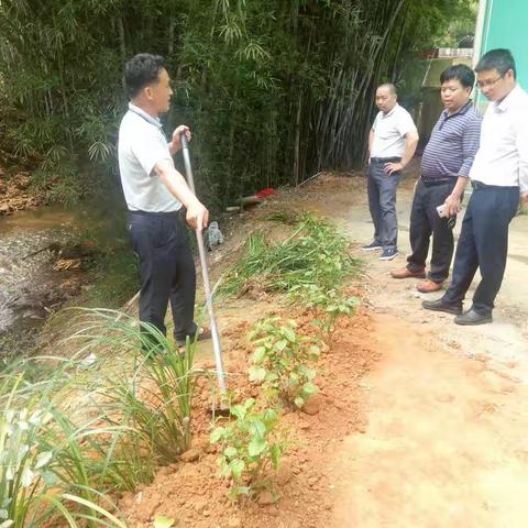 加强绿化美化，打造靓丽校园——同心镇中心校梁伟森校长到沙村小学督查校园绿化美化工作