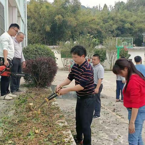 党建引领，志愿护绿——沙村小学开展植树活动