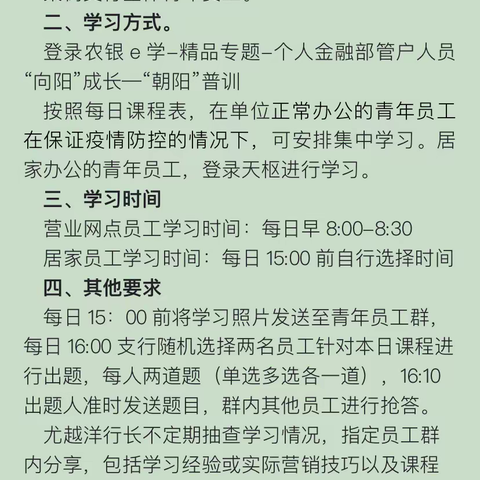 青春正飞扬 “向阳”同成长，——四平梨树支行组织青年员工参加“向阳”成长分级培训