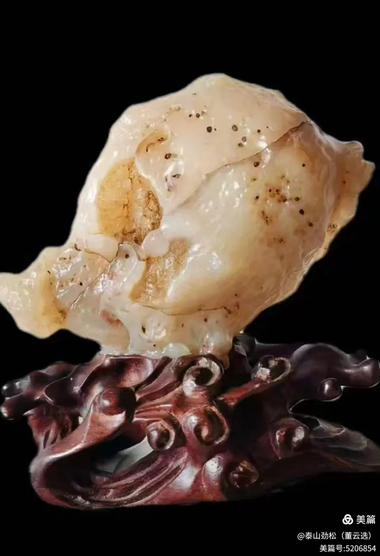 青岛市根石盆景艺术协会会长崔周村——新春贺词