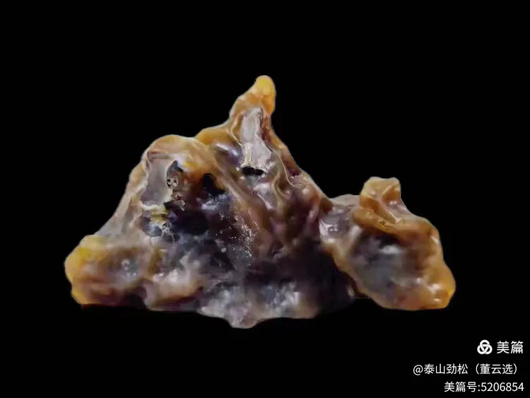 青岛市根石盆景艺术协会会长崔周村——新春贺词