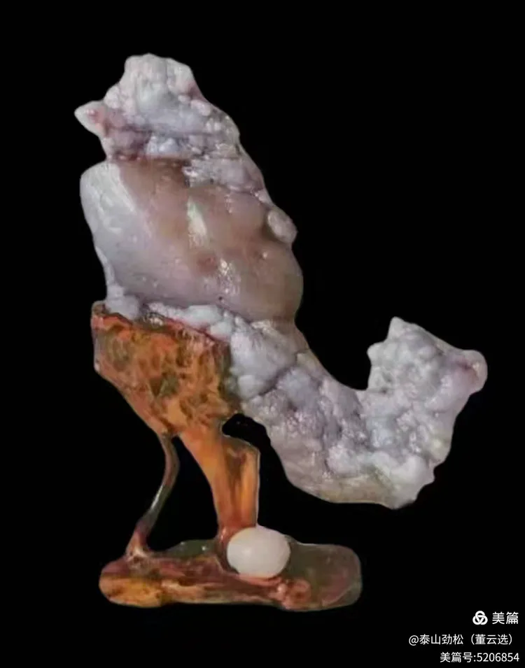 青岛市根石盆景艺术协会会长崔周村——新春贺词