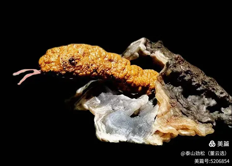 青岛市根石盆景艺术协会会长崔周村——新春贺词