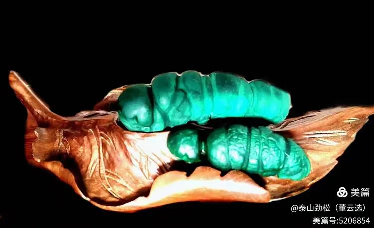 青岛市根石盆景艺术协会会长崔周村——新春贺词