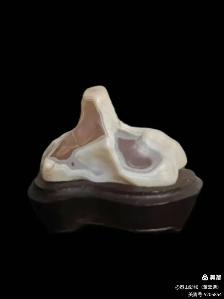 青岛市根石盆景艺术协会会长崔周村——新春贺词