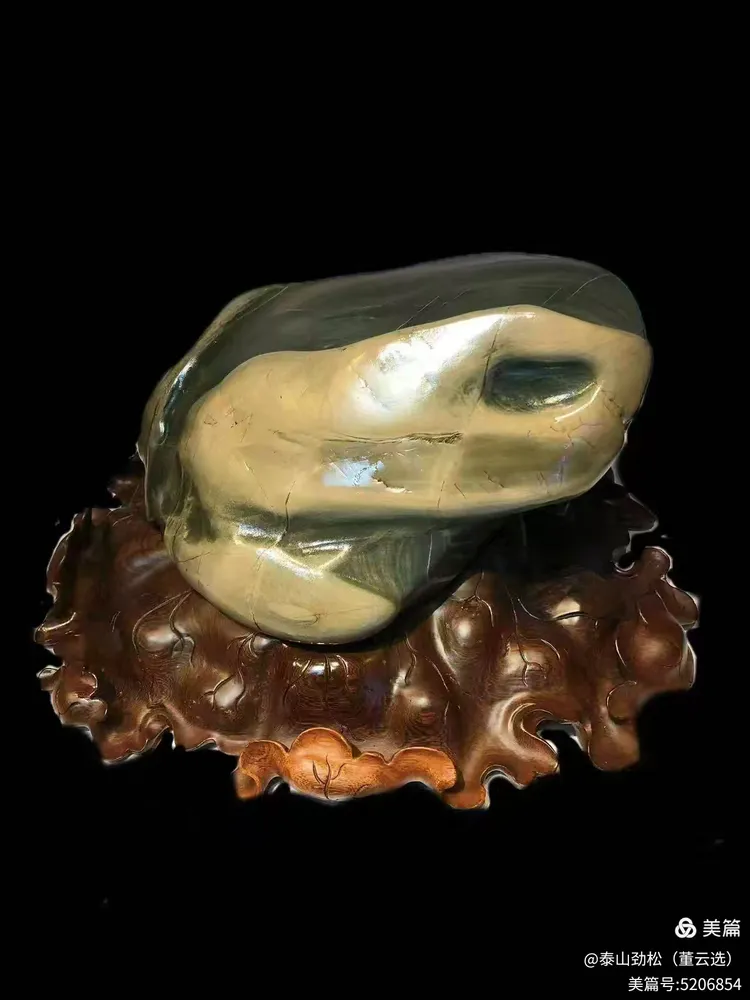 青岛市根石盆景艺术协会会长崔周村——新春贺词