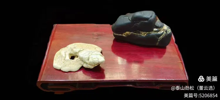 青岛市根石盆景艺术协会会长崔周村——新春贺词